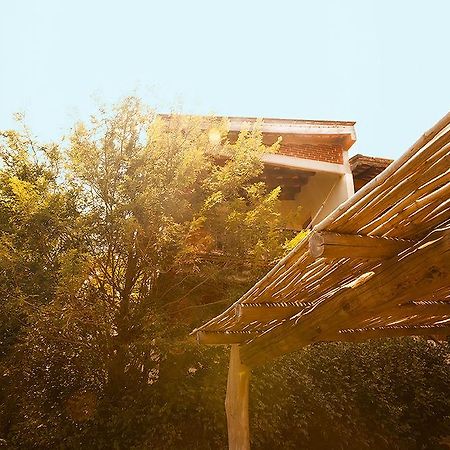 ホテルCasa Huijazoo Nature & Balance マスンテ エクステリア 写真